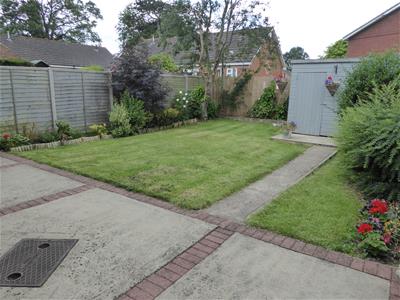 Picture 10